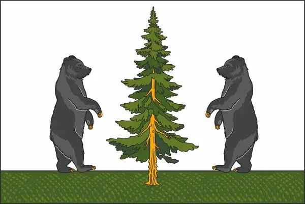 Флаг: Пестовский район